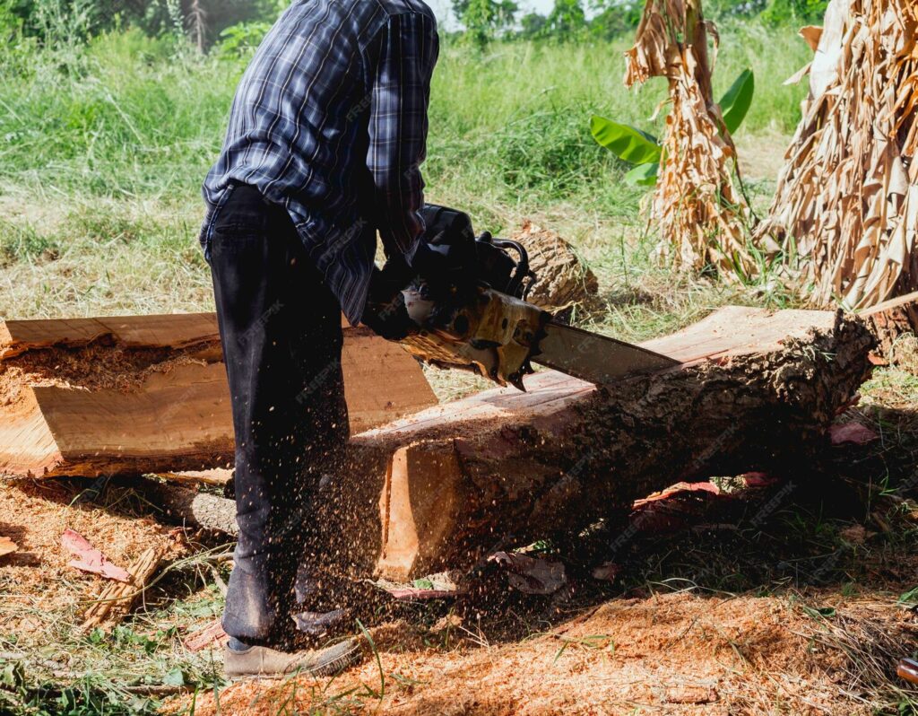 Stump Grinding naugatuck - Learn More